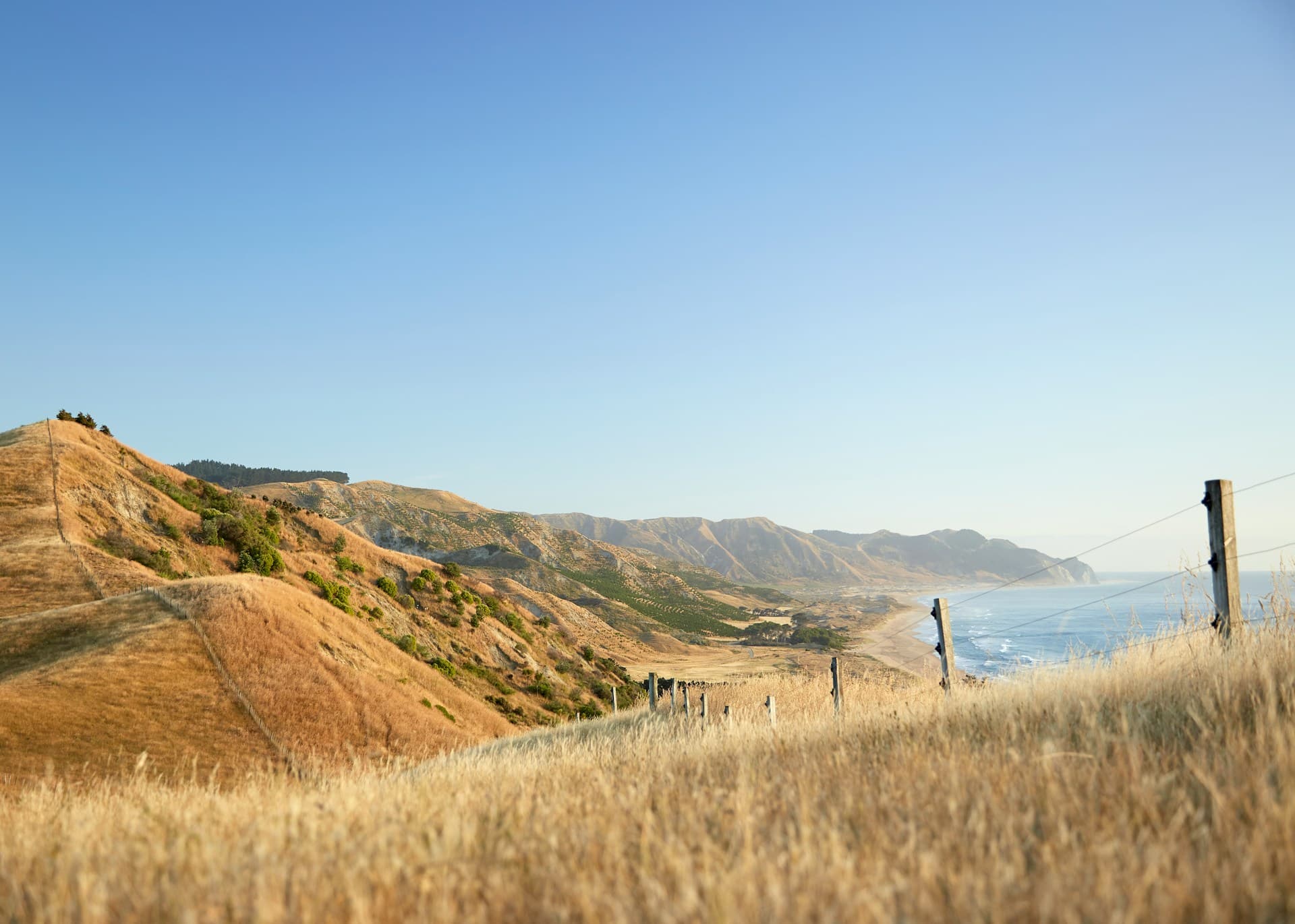 New Zealand Splendour - 15 Day : Auckland to Christchurch